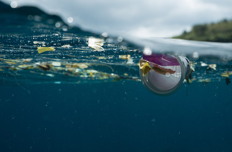 Oceans Clean Cover